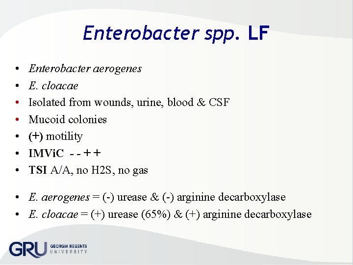 Enterobacter spp. LF • • Enterobacter aerogenes E. cloacae Isolated from wounds, urine, blood