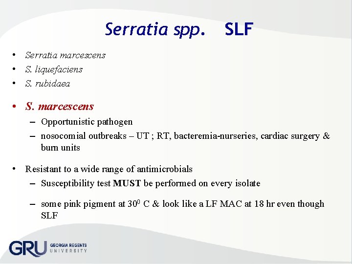 Serratia spp. SLF • Serratia marcescens • S. liquefaciens • S. rubidaea • S.