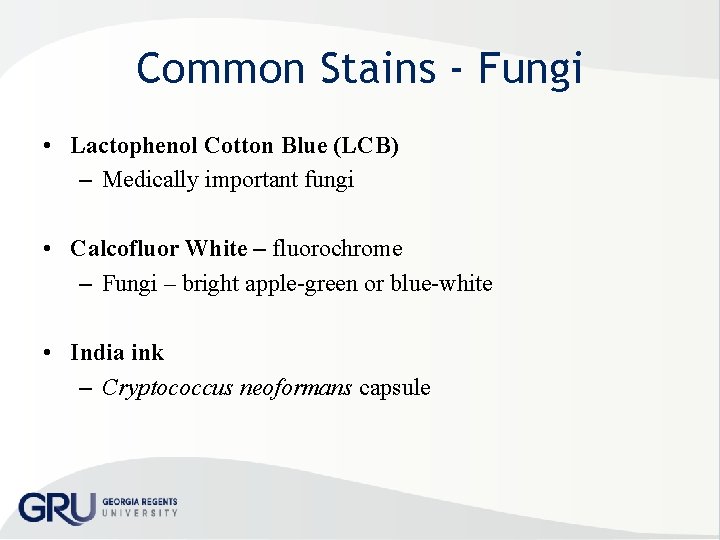 Common Stains - Fungi • Lactophenol Cotton Blue (LCB) – Medically important fungi •