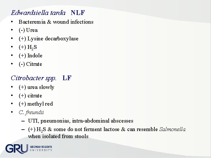 Edwardsiella tarda NLF • • • Bacteremia & wound infections ( ) Urea (+)