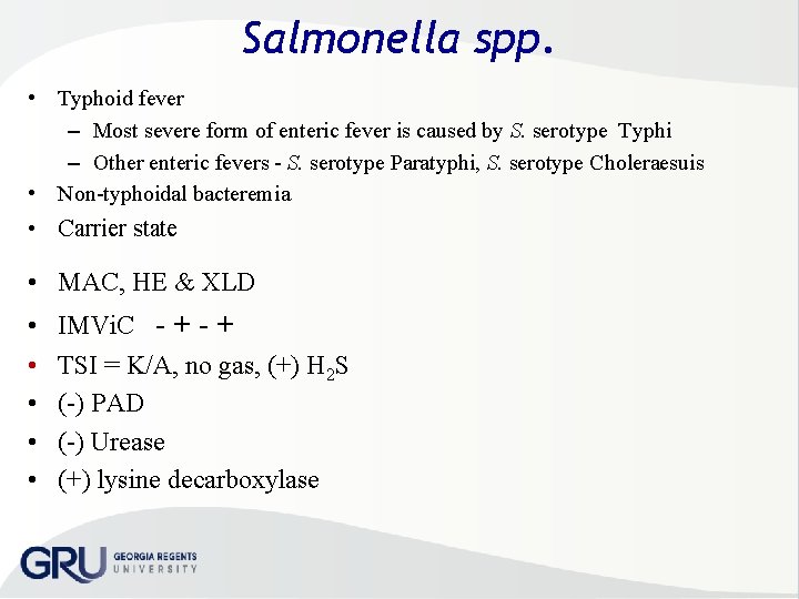 Salmonella spp. • Typhoid fever – Most severe form of enteric fever is caused