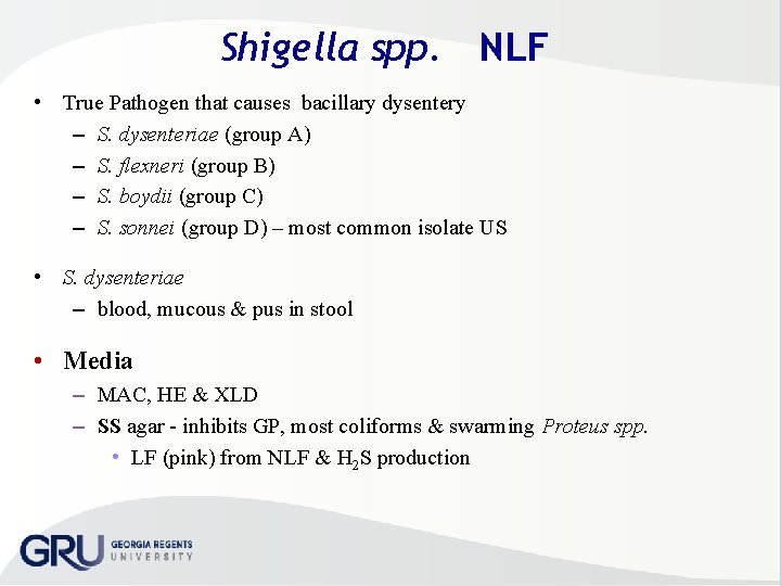 Shigella spp. NLF • True Pathogen that causes bacillary dysentery – S. dysenteriae (group