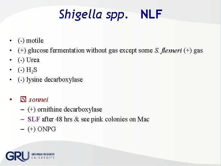 Shigella spp. NLF • • • ( ) motile (+) glucose fermentation without gas