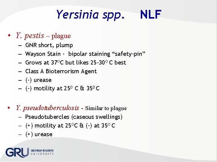 Yersinia spp. NLF • Y. pestis – plague – – – GNR short, plump