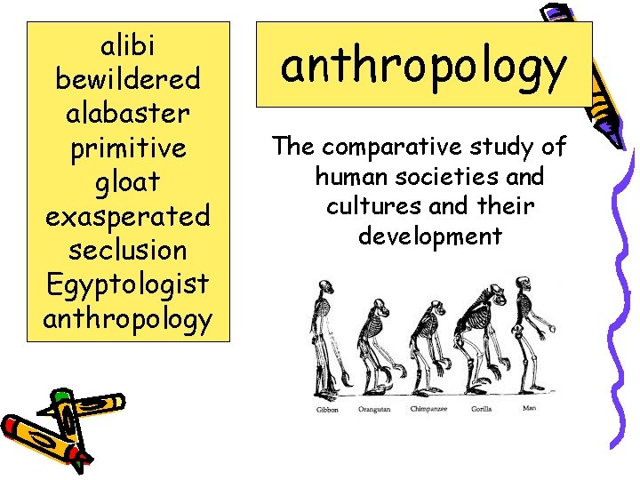 alibi bewildered alabaster primitive gloat exasperated seclusion Egyptologist anthropology The comparative study of human