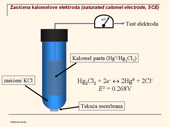 Zasićena kalomelove elektroda (saturated calomel electrode, SCE) m. V Test elektroda Kalomel pasta (Hg