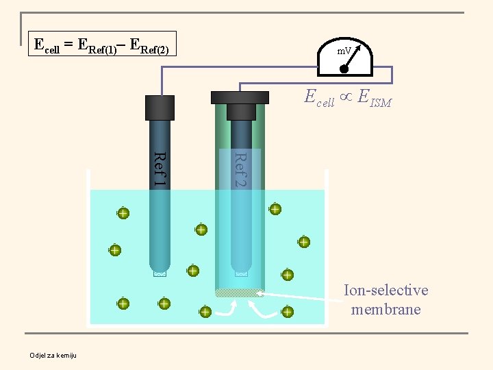 Ecell = ERef(1)– ERef(2) m. V Ecell EISM Ref 2 Ref 1 + +