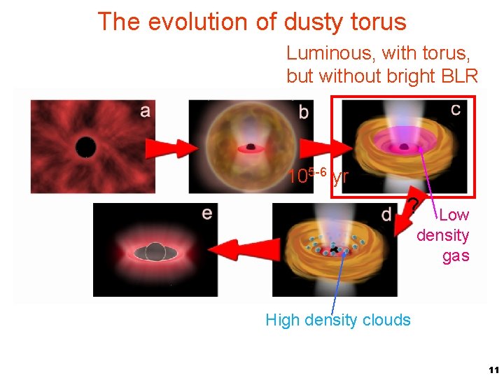 The evolution of dusty torus Luminous, with torus, but without bright BLR 105 -6