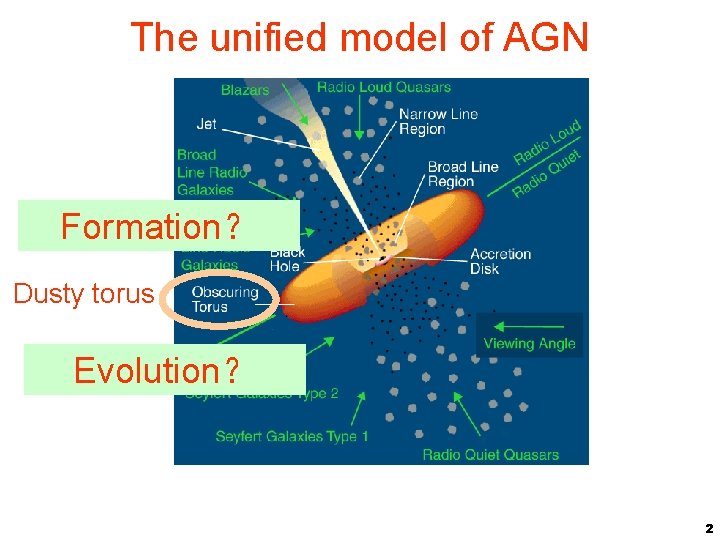 The unified model of AGN Formation？ Dusty torus Evolution？ 2 