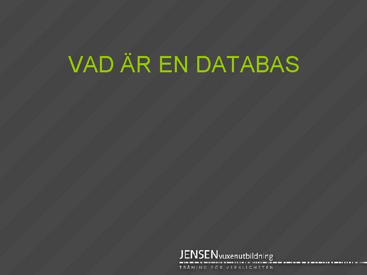 VAD ÄR EN DATABAS 