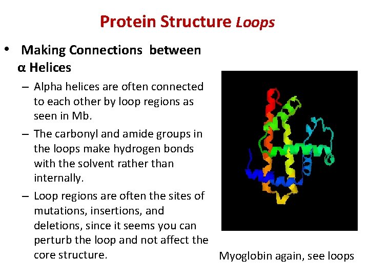 Protein Structure Loops • Making Connections between α Helices – Alpha helices are often