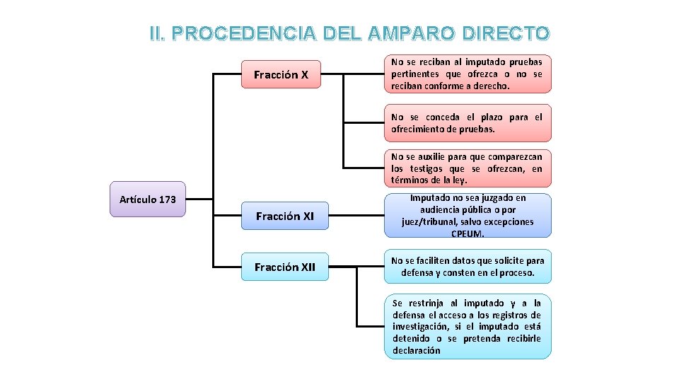 II. PROCEDENCIA DEL AMPARO DIRECTO Fracción X No se reciban al imputado pruebas pertinentes