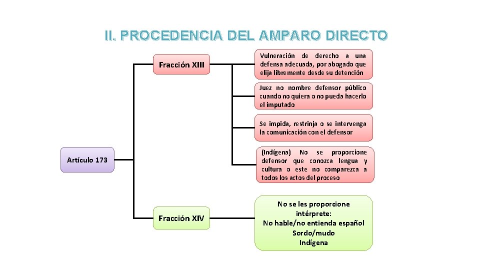 II. PROCEDENCIA DEL AMPARO DIRECTO Fracción XIII Vulneración de derecho a una defensa adecuada,