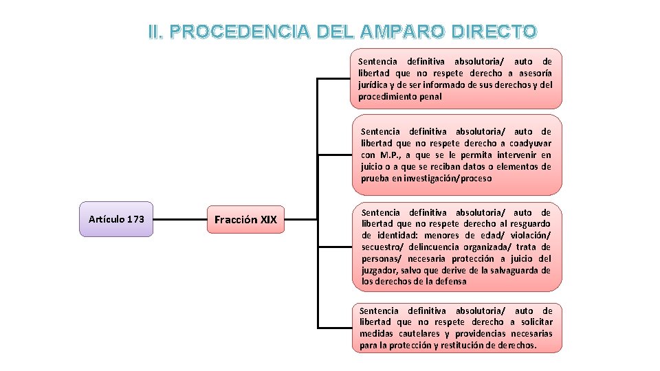 II. PROCEDENCIA DEL AMPARO DIRECTO Sentencia definitiva absolutoria/ auto de libertad que no respete