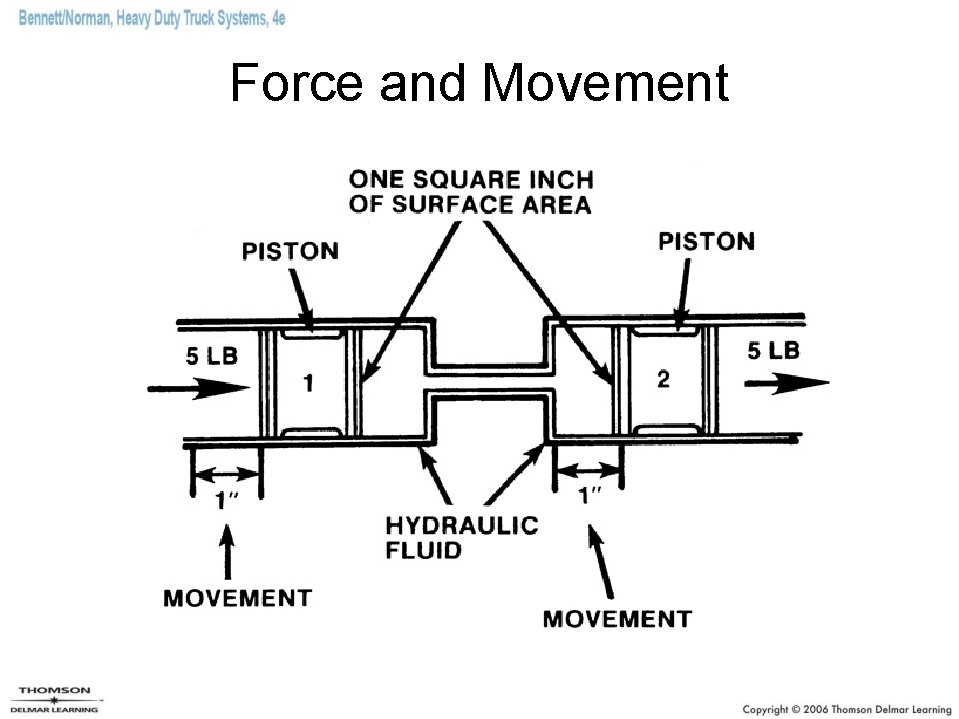 Force and Movement 