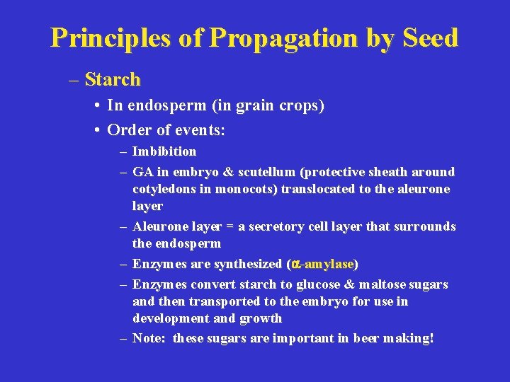 Principles of Propagation by Seed – Starch • In endosperm (in grain crops) •