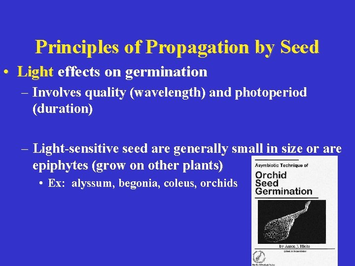 Principles of Propagation by Seed • Light effects on germination – Involves quality (wavelength)