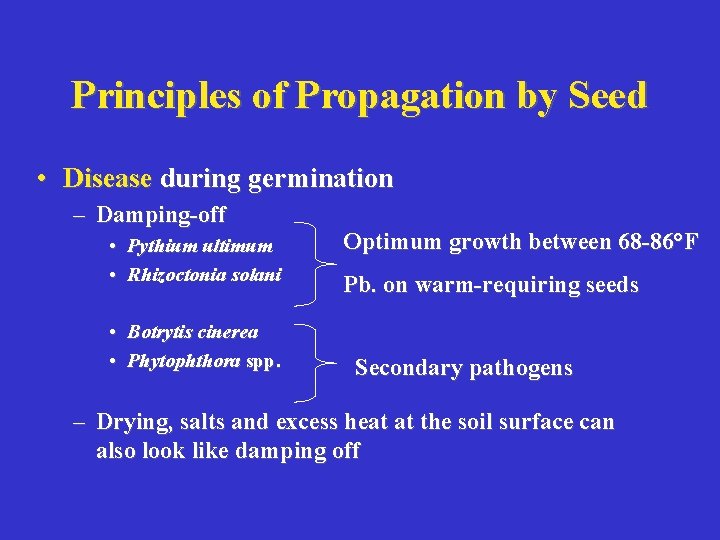Principles of Propagation by Seed • Disease during germination – Damping-off • Pythium ultimum