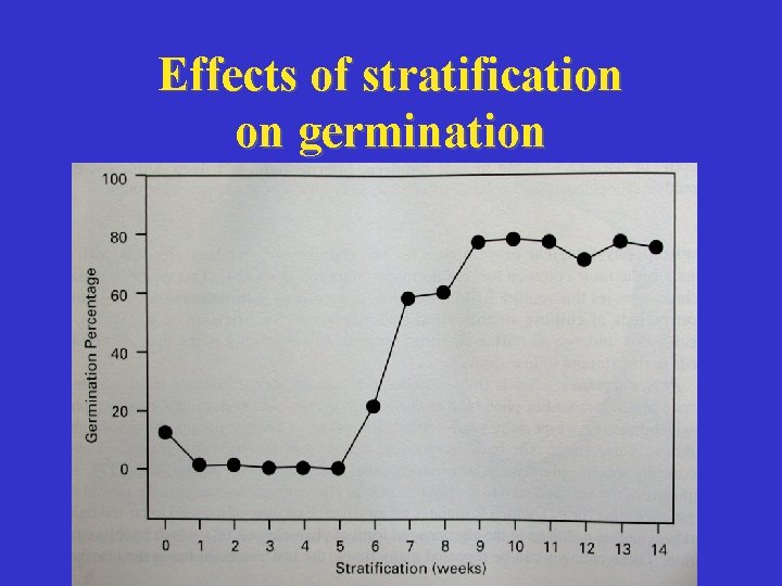Effects of stratification on germination 