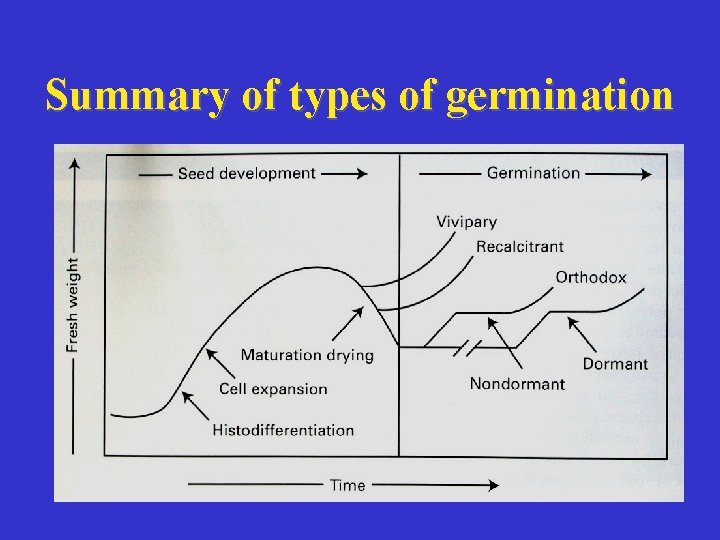 Summary of types of germination 