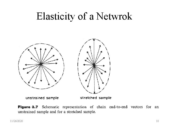 Elasticity of a Netwrok 11/26/2020 18 