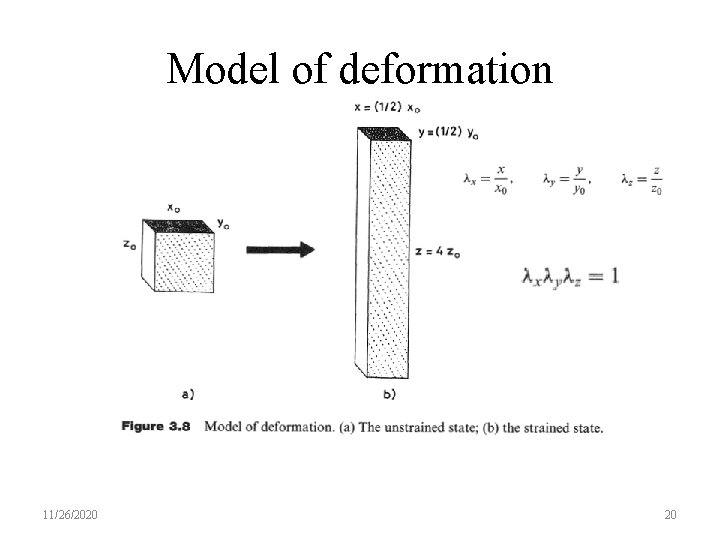 Model of deformation 11/26/2020 20 