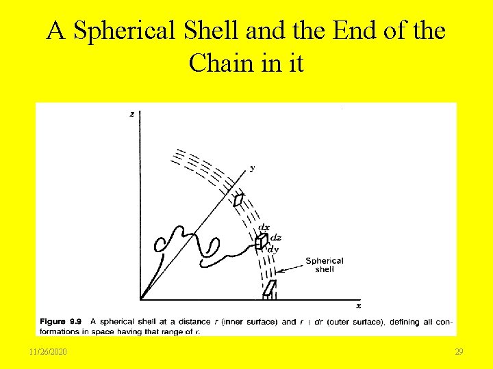 A Spherical Shell and the End of the Chain in it 11/26/2020 29 