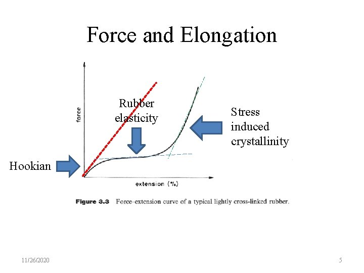 Force and Elongation Rubber elasticity Stress induced crystallinity Hookian 11/26/2020 5 