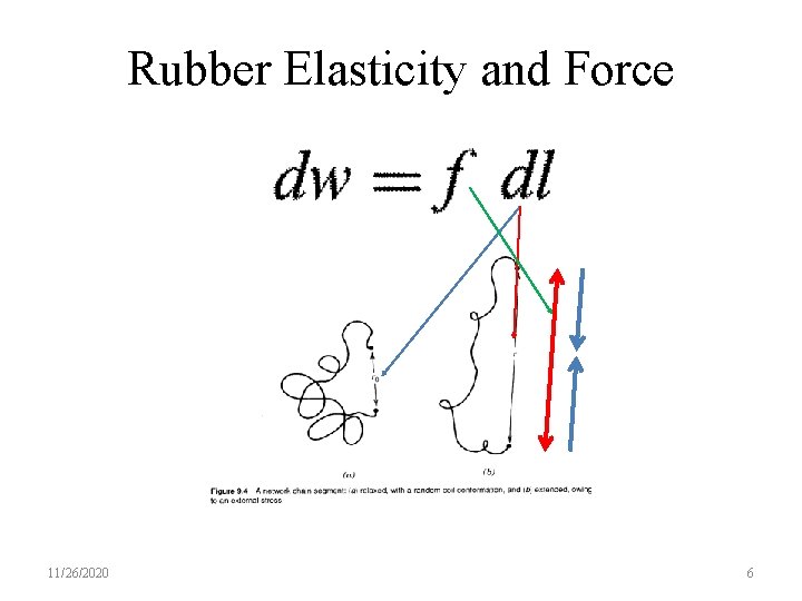 Rubber Elasticity and Force 11/26/2020 6 