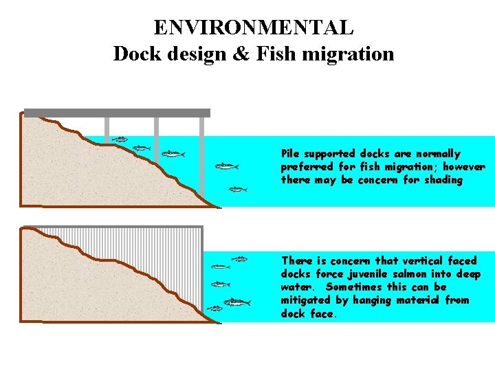 ENVIRONMENTAL Dock design & Fish migration Pile supported docks are normally preferred for fish
