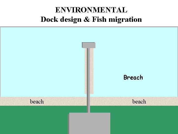 ENVIRONMENTAL Dock design & Fish migration Breach beach 