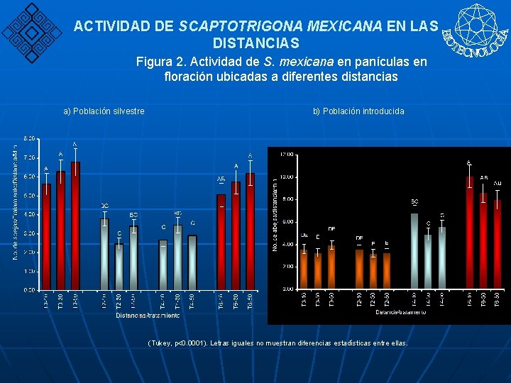 ACTIVIDAD DE SCAPTOTRIGONA MEXICANA EN LAS DISTANCIAS Figura 2. Actividad de S. mexicana en