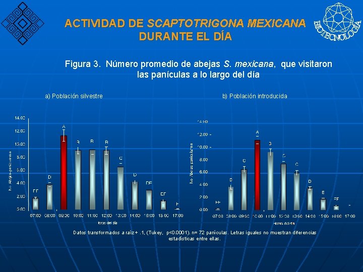 ACTIVIDAD DE SCAPTOTRIGONA MEXICANA DURANTE EL DÍA Figura 3. Número promedio de abejas S.