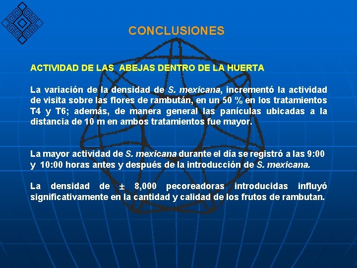 CONCLUSIONES ACTIVIDAD DE LAS ABEJAS DENTRO DE LA HUERTA La variación de la densidad