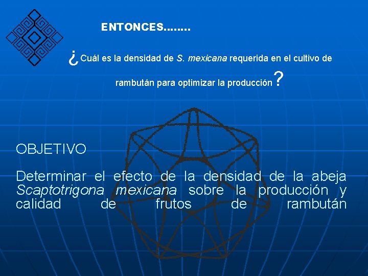 ENTONCES……. . ¿Cuál es la densidad de S. mexicana requerida en el cultivo de