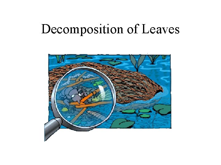 Decomposition of Leaves 