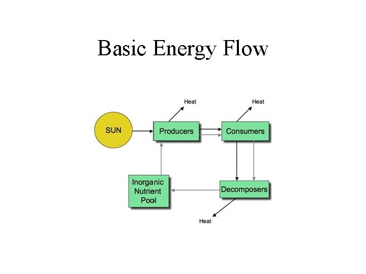 Basic Energy Flow 