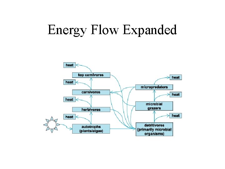 Energy Flow Expanded 