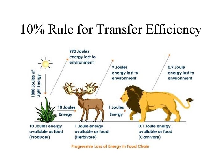10% Rule for Transfer Efficiency 