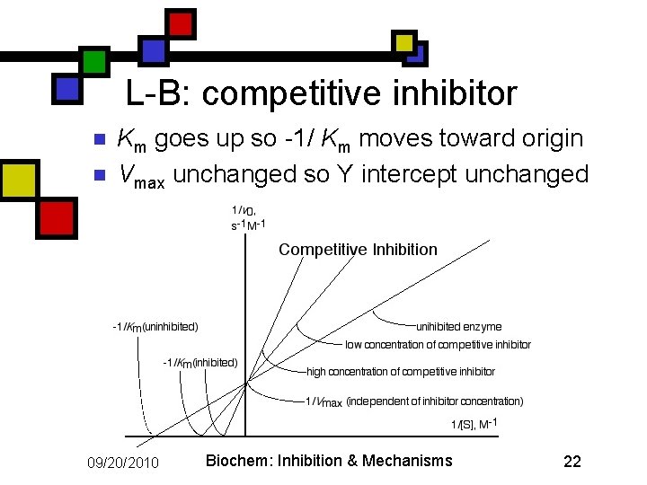 L-B: competitive inhibitor n n Km goes up so -1/ Km moves toward origin