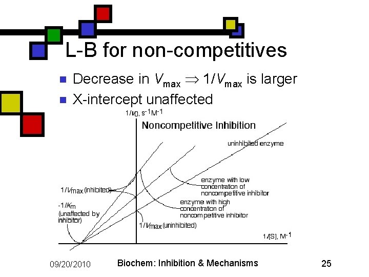 L-B for non-competitives n n Decrease in Vmax 1/Vmax is larger X-intercept unaffected 09/20/2010