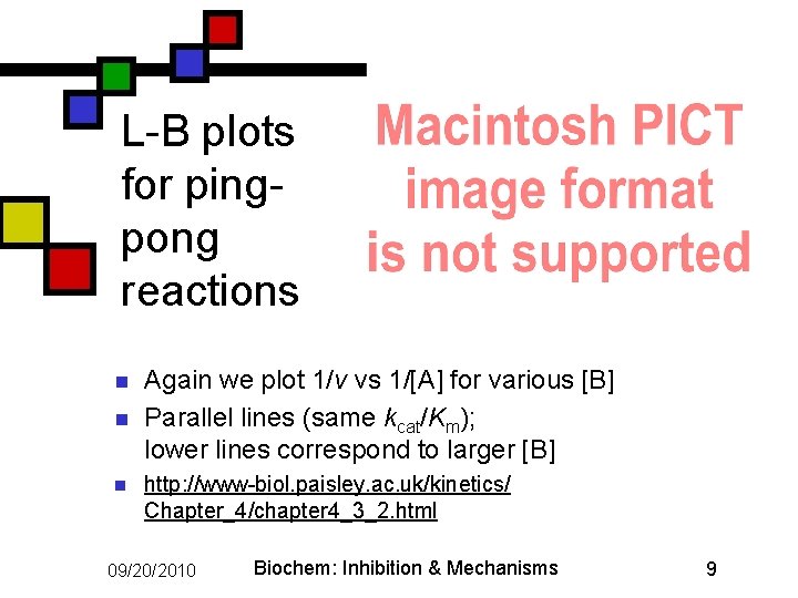 L-B plots for pingpong reactions n n n Again we plot 1/v vs 1/[A]