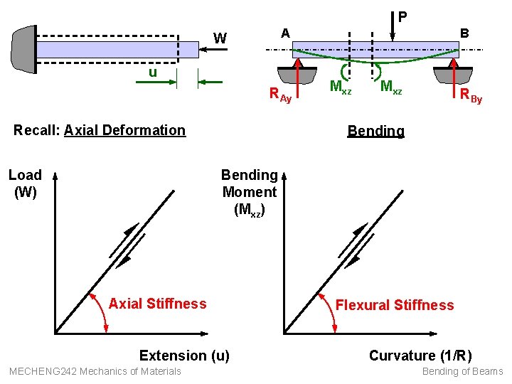 P A W u RAy Recall: Axial Deformation Load (W) B Mxz RBy Bending