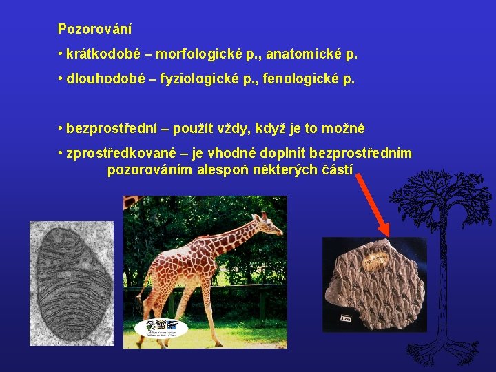 Pozorování • krátkodobé – morfologické p. , anatomické p. • dlouhodobé – fyziologické p.