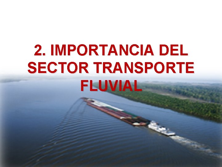 2. IMPORTANCIA DEL SECTOR TRANSPORTE FLUVIAL 