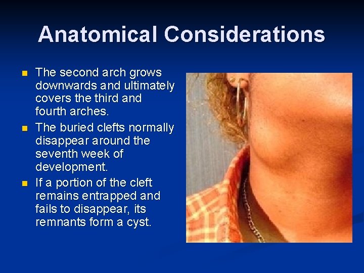 Anatomical Considerations n n n The second arch grows downwards and ultimately covers the