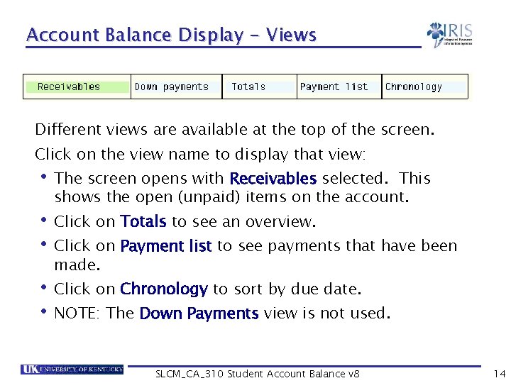 Account Balance Display - Views Different views are available at the top of the