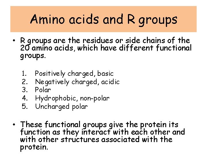Amino acids and R groups • R groups are the residues or side chains