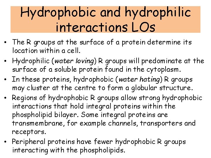 Hydrophobic and hydrophilic interactions LOs • The R groups at the surface of a