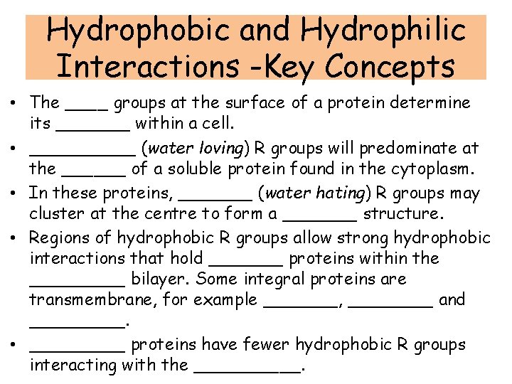 Hydrophobic and Hydrophilic Interactions -Key Concepts • The ____ groups at the surface of